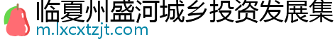 临夏州盛河城乡投资发展集团